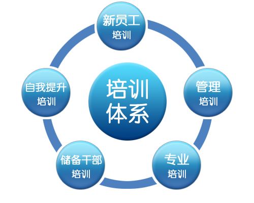 简单好用的企业内部培训系统